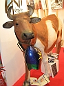 Fiera Del Libro 136